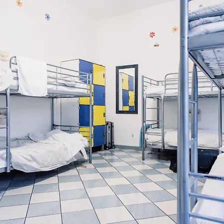 The Beehive Hostel-3