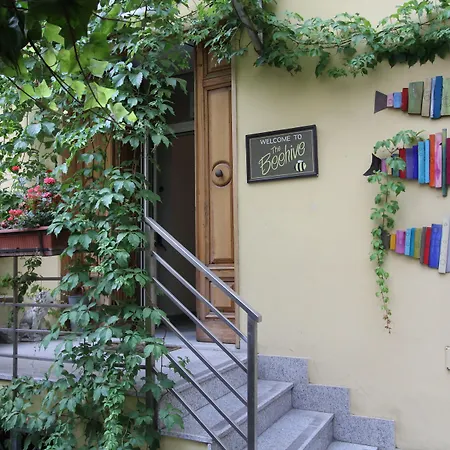 The Beehive Hostel-3